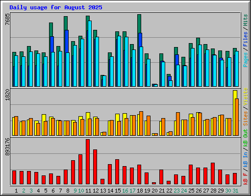 Daily usage for August 2025