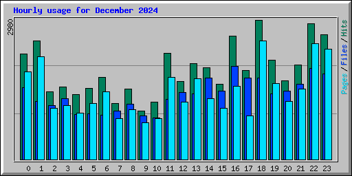 Hourly usage for December 2024