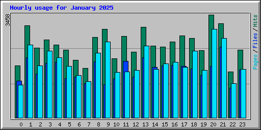 Hourly usage for January 2025