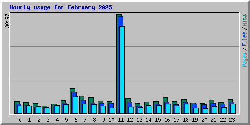 Hourly usage for February 2025