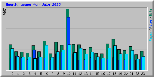 Hourly usage for July 2025