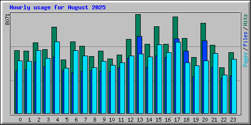 Hourly usage for August 2025